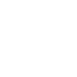 Auto Vanced